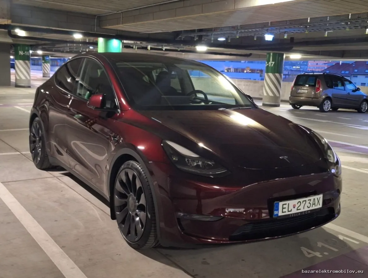 Tesla Model Y Performance