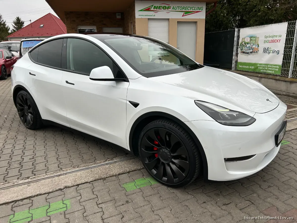 Tesla Model Y Performance
