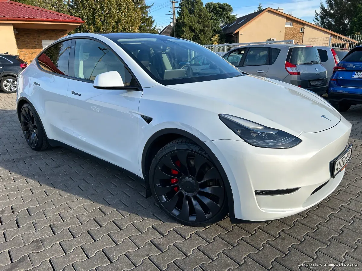 Tesla Model Y Performance